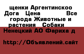 щенки Аргентинскоо Дога › Цена ­ 25 000 - Все города Животные и растения » Собаки   . Ненецкий АО,Фариха д.